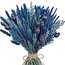 Droogbloemen DIY set "Rottumerplaat" | Vijf soorten blauwe droogbloemen in een box