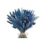 Droogbloemen DIY set "Rottumerplaat" | Vijf soorten blauwe droogbloemen in een box