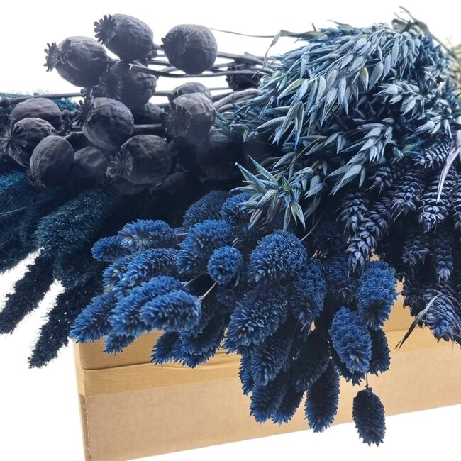 Set de bricolage de fleurs séchées "Rottumerplaat" | Cinq types de fleurs séchées bleues dans une boîte