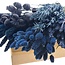 Droogbloemen DIY set "Rottumerplaat" | Vijf soorten blauwe droogbloemen in een box