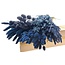 Dried Flowers DIY Set "Rottumerplaat" | Five types of blue dried flowers in a box