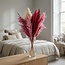 Pink Lady Mix gedroogde Pampas pluimen | Lengte ± 65 centimeter | Per 10 takken