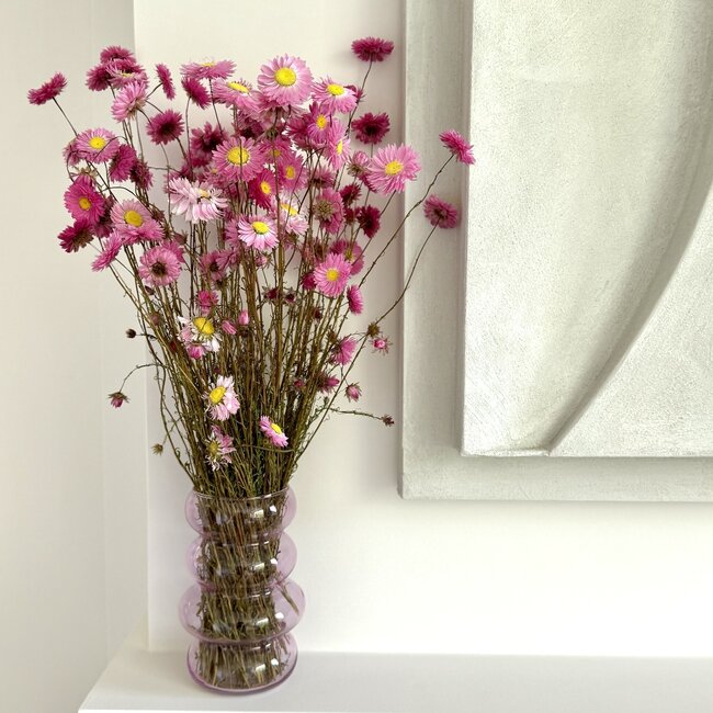 Naturel roze Acroclinium droogbloemen | Lengte ± 45 centimeter | Gewicht ± 100 gram