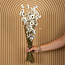 Naturel witte Acroclinium droogbloemen | Lengte ± 45 centimeter | Gewicht ± 100 gram