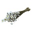 Natural white Acroclinium dried flowers | Length ± 45 centimetres | Weight ± 100 grams