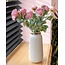 Bouquet of Artificial Ranunculus Flowers | Colour: Light Pink | Length: 50 centimetres | Per 5 flowers