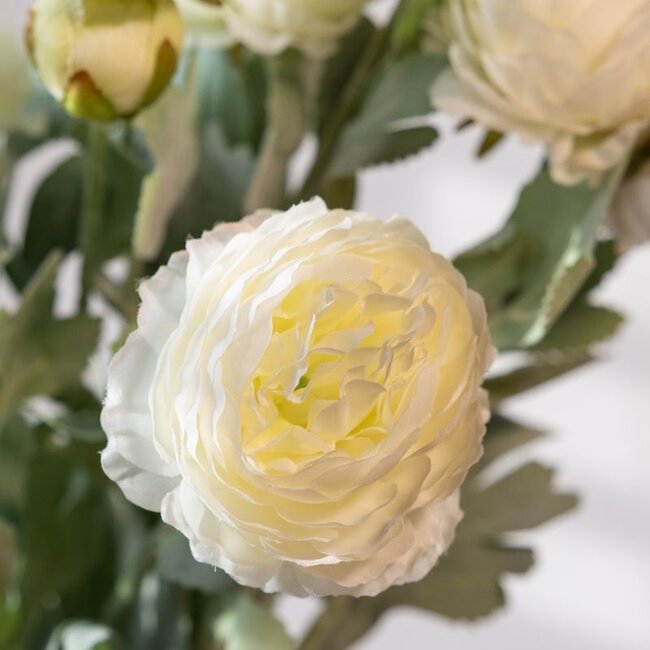 Bouquet of Artificial Ranunculus Flowers | Colour: White | Length: 50 centimetres | Per 5 flowers