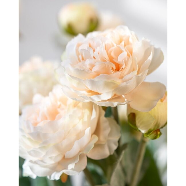 Ranunkel Kunstblumenstrauß | Farbe: Lachs | Länge: 50 Zentimeter | Pro 5 Blumen