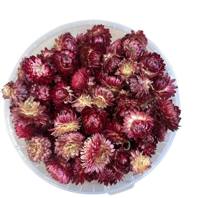 Gedroogde Strobloemkoppen | Kleur: Donkerroze | Helichrysum Droogbloemen | Gewicht 100 gram | Per emmertje