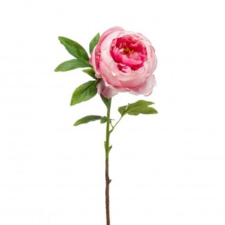4A Pivoine Fleur artificielle | Couleur: Rose | Paeonia Fleurs artificielles | Longueur ± 63 centimeter | Par 4 fleurs artificielles
