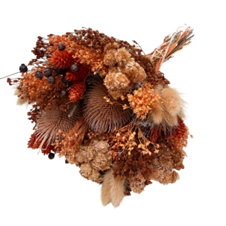 Dolce Vita Boeket droogbloemen "Wow Brown" | Lengte ± 35 centimeter | Met bruine droogbloemen