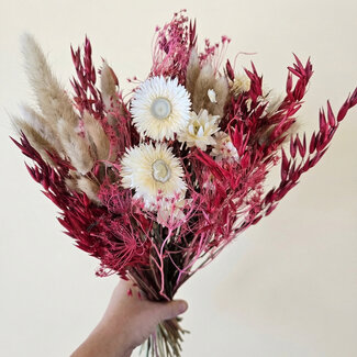 MyFlowers Trockenblumenstrauß "Moulin Rouge" | Länge ± 50 Zentimeter | Mit rosa und weißen Trockenblumen