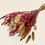Boeket droogbloemen "Moulin Rouge" | Lengte ± 50 centimeter | Met roze en witte droogbloemen