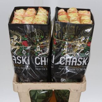 Freshy R Eq Karma-bb