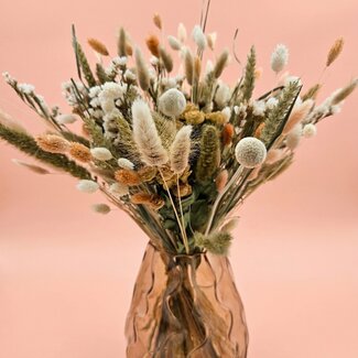 MyFlowers Bouquet of dried flowers Shades of Salmon | Length ± 60 centimetres | With salmon-coloured dried flowers