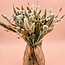 Boeket droogbloemen "Shades of Salmon" | Lengte ± 60 centimeter | Met zalmkleurige droogbloemen
