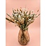 Boeket droogbloemen "Shades of Salmon" | Lengte ± 60 centimeter | Met zalmkleurige droogbloemen