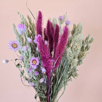 MyFlowers Trockenblumenstrauß "Royal Love" | Länge ± 50 Zentimeter | Mit rosa und natürlichen Trockenblumen