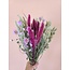 Boeket droogbloemen "Royal Love" | Lengte ± 50 centimeter | Met roze en naturelle droogbloemen