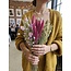 Boeket droogbloemen "Royal Love" | Lengte ± 50 centimeter | Met roze en naturelle droogbloemen