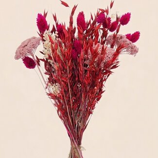 Dutch Dried Boeket droogbloemen "Layla" | Lengte ± 50 centimeter | Met roze en rode droogbloemen