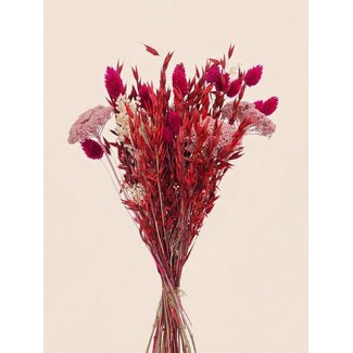 Dutch Dried Boeket droogbloemen "Layla" | Lengte ± 50 centimeter | Met roze en rode droogbloemen