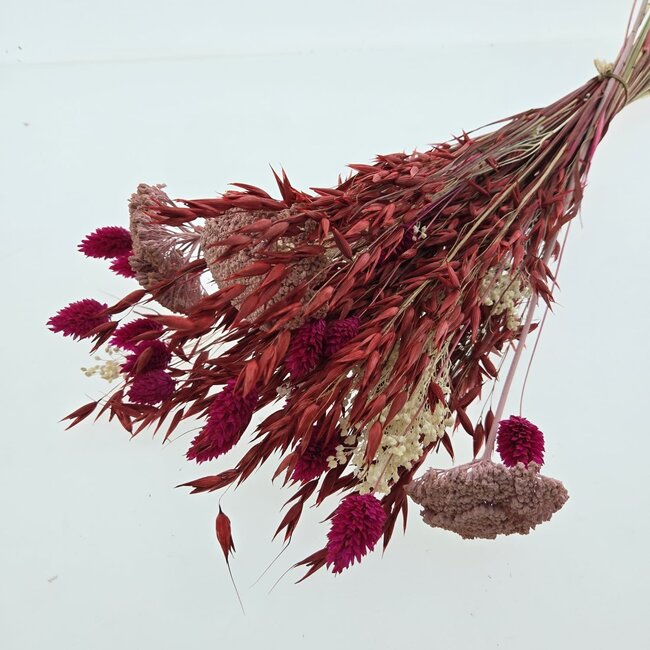 Bouquet of dried flowers "Layla" | Length ± 50 centimetres | With pink and red dried flowers