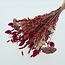 Bouquet of dried flowers "Layla" | Length ± 50 centimetres | With pink and red dried flowers