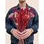 Bouquet of dried flowers "Layla" | Length ± 50 centimetres | With pink and red dried flowers