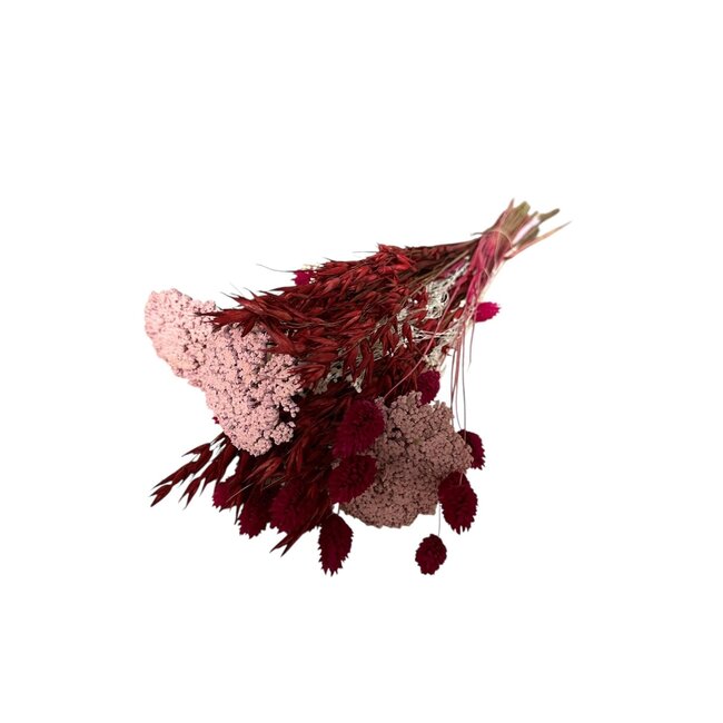 Boeket droogbloemen "Layla" | Lengte ± 50 centimeter | Met roze en rode droogbloemen