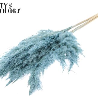 QC Gedroogde Gebleekte Pampas Pluimen | Kleur: Frosted Lichtblauw | Lengte ± 100 centimeter | 5 pluimen per bos | Per bos