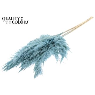 QC Gedroogde Gebleekte Pampas Pluimen | Kleur: Frosted Lichtblauw | Lengte ± 100 centimeter | 5 pluimen per bos | Per bos