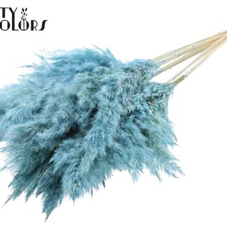 QC Gedroogde Gebleekte Pampas Pluimen | Kleur: Frosted Lichtblauw | Lengte ± 70 centimeter | 10 pluimen per bos | Per bos
