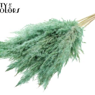 QC Séchées Blanchies Plumes de pampas | Couleur: Menthe givrée | Longueur ± 70 centimeter | 10 plumes par bouquet | Par bouquet