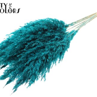 QC Gedroogde Gebleekte Pampas Pluimen | Kleur: Turquoise | Lengte ± 70 centimeter | 10 pluimen per bos | Per bos