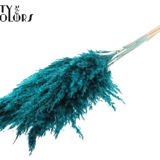 QC Gedroogde Gebleekte Pampas Pluimen | Kleur: Turquoise | Lengte ± 100 centimeter | 5 pluimen per bos | Per bos