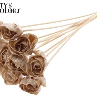 QC Shola Rose mit Wachs auf Stiel | Farbe: Beige | Shola Dear Holly | Durchmesser 6 centimeter | Länge  ± 50 centimeter | 10 Beistecker pro Bund | Pro Bund