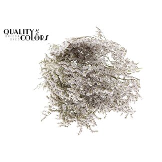 QC Gedroogde Zeelavendel | Kleur: Natuurlijk Wit | Limonium Tataricum Droogbloemen | Lengte ± 30 cm | Gewicht 45 gram | Per bos