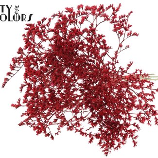 QC Gedroogde Zeelavendel | Kleur: Rood | Limonium Tataricum Droogbloemen | Lengte ± 30 cm | Gewicht 45 gram | Per bos