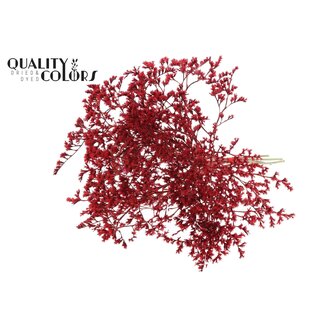 QC Gedroogde Zeelavendel | Kleur: Rood | Limonium Tataricum Droogbloemen | Lengte ± 30 cm | Gewicht 45 gram | Per bos