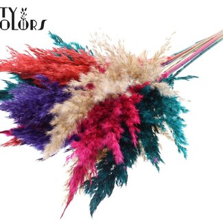QC Dried Pampas Plumes “Colourful 4” | Colour: Mixed Colours | Pampas Dried Flowers | Length ± 70 centimetre | 10 plumes per bunch | Per bunch