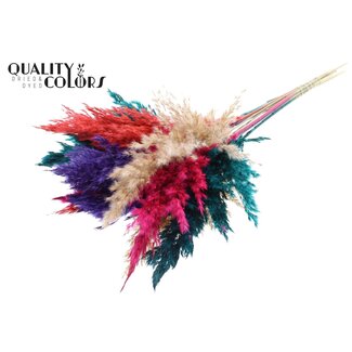 QC Dried Pampas Plumes “Colourful 4” | Colour: Mixed Colours | Pampas Dried Flowers | Length ± 70 centimetre | 10 plumes per bunch | Per bunch