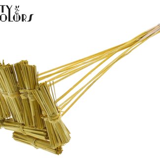 QC Kore Bouquet sur tige | Couleur : Jaune Métallique | Kore Pique-fleurs | Longueur de la pique-fleurs ± 50 centimètres | 10 piques-fleurs par bouquet