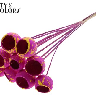 QC Bellgums séchés | Couleur : Moucheté Lilas Jaune | Bell Cup Pique-fleurs | Longueur ± 50 centimètres | 10 piques par bouquet