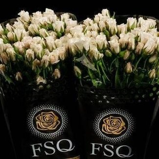 Freshy Spray White Majolika