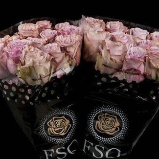 Freshy Grootbloemige Roos XL “Friends” | Kleur: Roze | Lengte ± 60 centimeter | Herkomst Ecuador | Per 20 stelen