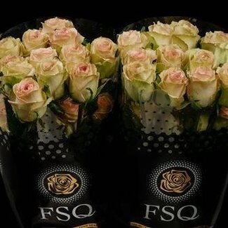 Freshy R Eq Sweet Elegance