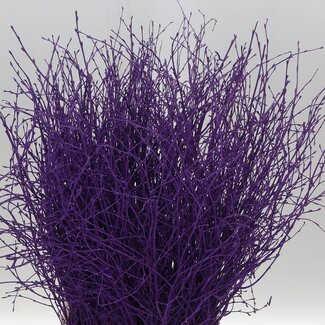Freshy Berkentakken | Kleur: Paars | Lengte ± 60 centimeter | Per 5 takken