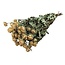 Weiße getrocknete Straußrosen | Spray-Rosen Trockenblumen | Länge ± 50 Zentimeter | Pro 10 Rosen