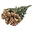Wit-roze gedroogde Trosrozen | Spray Rose droogbloemen | Lengte ± 50 centimeter | Per 10 rozen